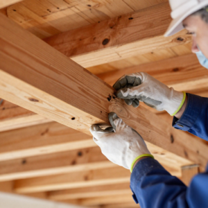 How Woodworm Affects Property Value